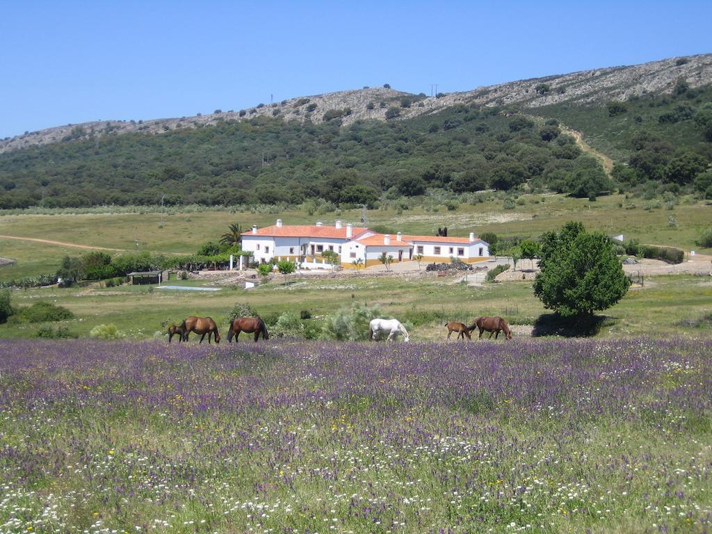 Torrejón el Rubio Palacio Viejo De Las Corchuelas חדר תמונה